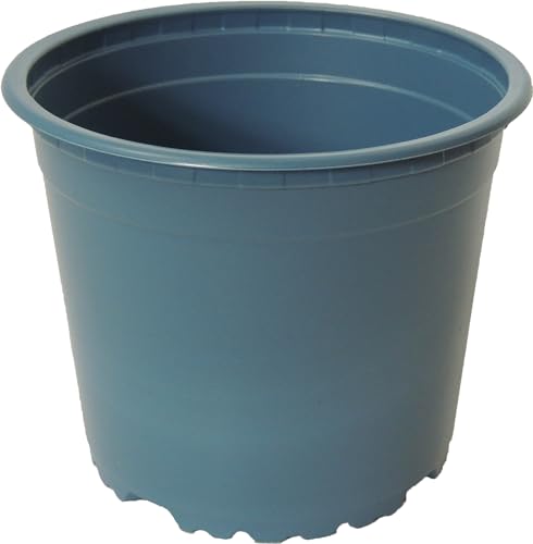 Fuchs seit 1895 10 STK. Nachhaltiger Blumentopf, Pflanztopf, Gärtnertopf, Containertopf Circular Blue aus Recyclingmaterial, Durchmesser:11 cm von Fuchs seit 1895