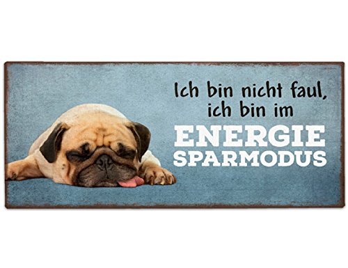 Für Dich 1010758110 Schild, Plastik, Mehrfarbig, 5 x 2 cm Für Dich 1010758110 Schild, Plastik, Mehrfarbig, 5 x 2 cm von Für Dich