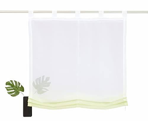 Devola Raffrollo Farbverlauf Vorhang transparent Voile Raffgardinen Modern Rollo mit Kordelzug Küchengardine mit Schlaufen Faltvorhang BxH 120x150cm Grün 1er Pack von Fuer