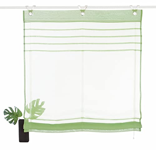 Devola Raffrollo transparent Ösenrollo Voile Raffgardinen Modern Rollo mit Hakenaufhängung Faltvorhang Dekoration Vorhänge BxH 45x140cm Grün 1er Pack Devola Raffrollo transparent Ösenrollo Voile Raffgardinen Modern Rollo mit Hakenaufhängung Faltvorhang Dekoration Vorhänge BxH 45x140cm Grün 1er Pack von Fuer