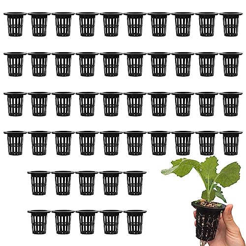 50 Stück Netztöpfe Hydroponik | Garden Net Cup Töpfe | Kunststoff Netztopf Für Balkon Hydrokultur Anpflanzen Und Soilless Kultur | Schwarz von Fukamou