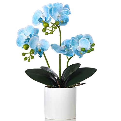 FuleHouzz Künstliche Orchideen Blumen mit Vase Kunstseide Phalaenopsis im Topf Arrangement Bonsai für Raumdekoration Zuhause Büro Tischaufsätze, Blau von FuleHouzz