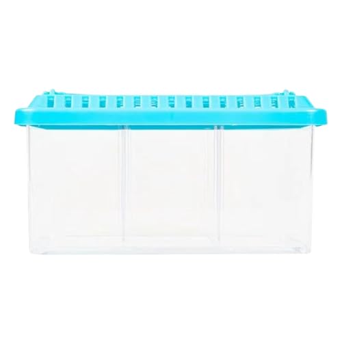 Aquarium für den Schreibtisch, kleines Fischglas, transparent, mit abnehmbaren Trennwänden, Starter-Set für Aquarien mit mehreren Fächern von Fulenyi