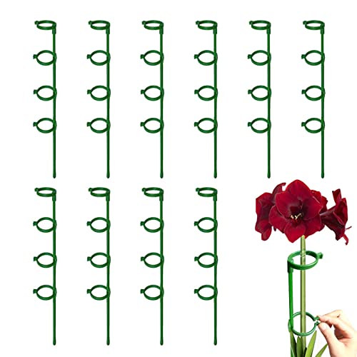 Fulenyi 10er-Pack 60cm Rankhilfe Zimmerpflanzen | Pflanzenstütze Rund Für Hohe Pflanzen Und Blumen | Monstera Rankhilfe Für Garten | Pflanzenstäbe Für Orchideen, Amaryllis, Pfingstrosen, Paprika Usw von Fulenyi