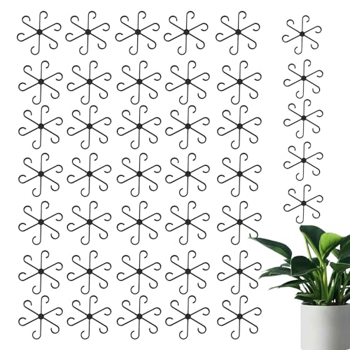 Asternten-Clips, Trainingsclips für Pflanzenstängel, 40 wiederverwendbare Pflanzenpflücker-Clips für Pflanzenwachstumsunterstützung, niedrige Trainingsklemmen von Fulenyi
