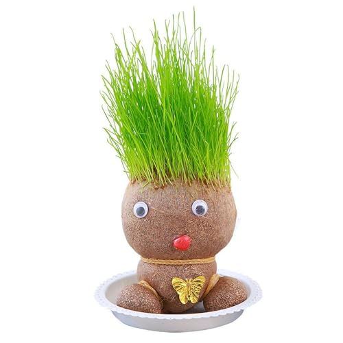 Fulenyi Graskopf Puppe Pflanze, Desktop Grünpflanzen Mini Bonsai Töpfe mit Tablett, Graskopf Puppe Kleine Topfpflanze, Anzuchttablett, Desktop Ornamente Dekoration Oder Pflanzen Topfpflanzen Für von Fulenyi