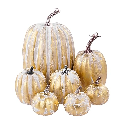 Fulenyi Kürbis Herbst Deko Dekoration Draußen, 7 Stück Groß Weißes Gold Kürbisse Zierkürbisse Herbstdeko Herbstdekorationen Halloween Fulenyi Kürbis Herbst Deko Dekoration Draußen, 7 Stück Groß Weißes Gold Kürbisse Zierkürbisse Herbstdeko Herbstdekorationen Halloween von Fulenyi
