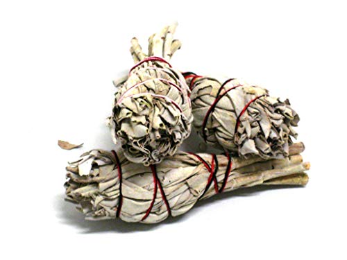 Fumaga - Smudge Stick White Sage - erstklassiger, natürlicher weißer Salbei Gr. S - 3 St. á 15-20 g Fumaga - Smudge Stick White Sage - erstklassiger, natürlicher weißer Salbei Gr. S - 3 St. á 15-20 g von Fumaga