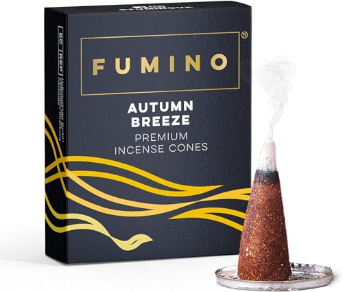 Fumino Räucherkegel mit frischem Duft Herbstbrise – 1 Box à 20 Kegel Masala Agarbatti Räucherkerzen Klein - Duft für Entspannung, Meditation, Linderung bei Stress und Angstzuständen - Dekoration von Fumino