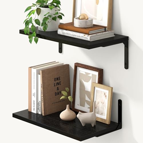 Fun Memories Tief schwebende Regale, 16W x 8D Schweberegale 2er Set, Wandmontiertes Regal mit Metallhalterungen, Rustikales Holz-Wandregal für Badezimmer, Küche und Wohnzimmer, Schwarz Fun Memories Tief schwebende Regale, 16W x 8D Schweberegale 2er Set, Wandmontiertes Regal mit Metallhalterungen, Rustikales Holz-Wandregal für Badezimmer, Küche und Wohnzimmer, Schwarz von Fun Memories