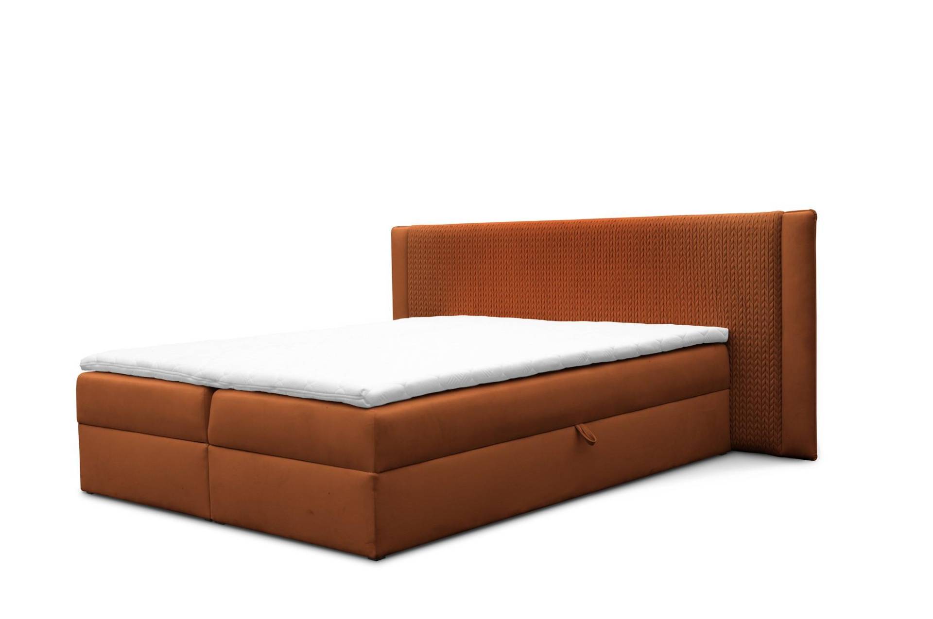 BOXBETT Cedric In Magic Velvet BOXBETT Cedric In Magic Velvet von Fun Möbel