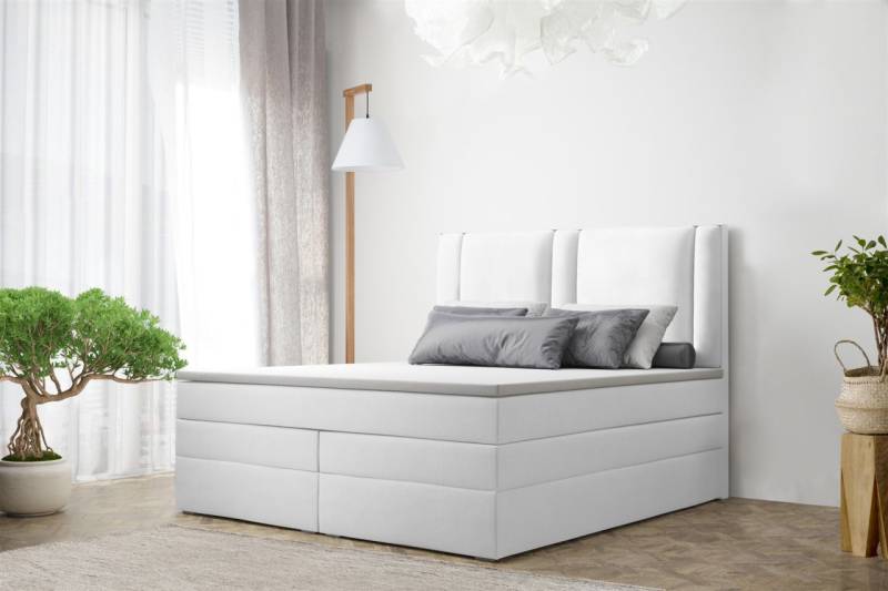 Boxspringbett Schlafzimmerbett CANDELA DELUX 200x200cm in Kunstleder Weiss von Fun Moebel