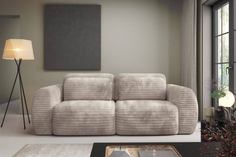 Fun Möbel 2-Sitzer Sofa mit Schlaffunktion FUN CARTER in Stoff Ambience, inkl. Bettkasten, Inkl. 4 Rückenkissen von Fun Möbel