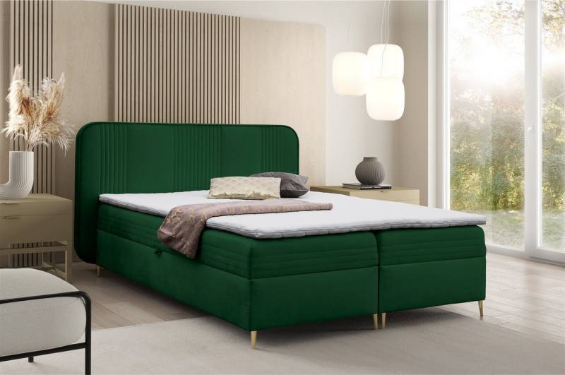 Fun Möbel Boxbett Schlafzimmerbett ALIZE Stoff Fresh, inkl. Bettkasten und Topper von Fun Möbel