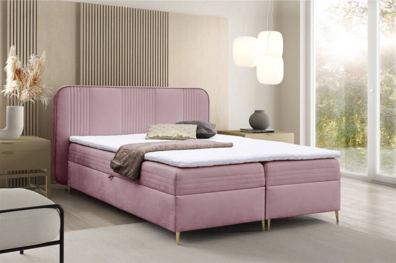 Fun Möbel Boxbett Schlafzimmerbett ALIZE Stoff Fresh, inkl. Bettkasten und Topper von Fun Möbel