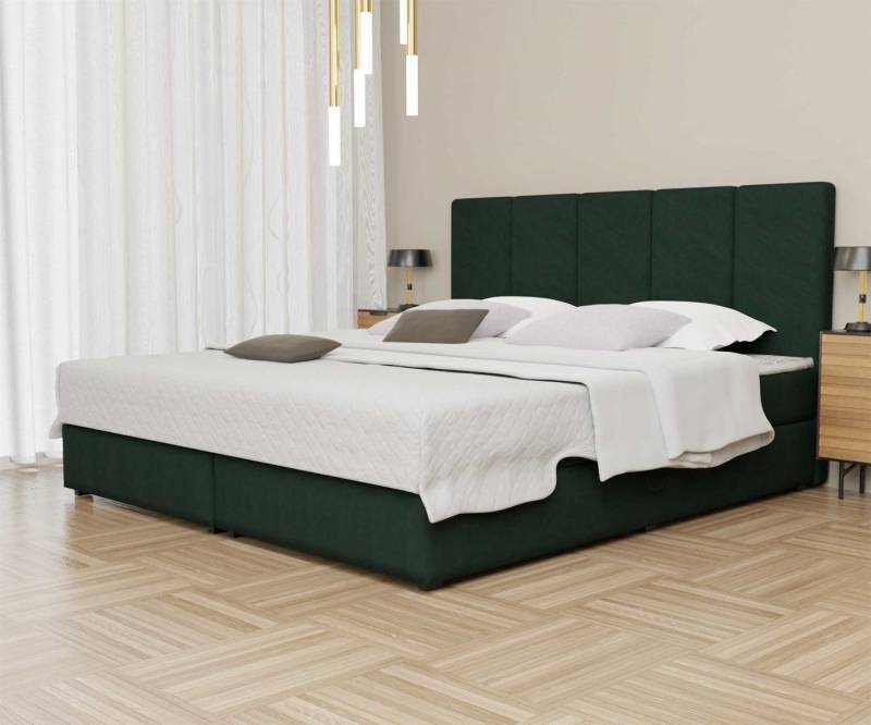 Fun Möbel Boxspringbett Boxspringbett Schlafzimmerbett ELICIO in Stoff Cloud (inkl. Bettkästen, inkl. Kaltschaumtopper), auch in Überlänge erhältlich von Fun Möbel