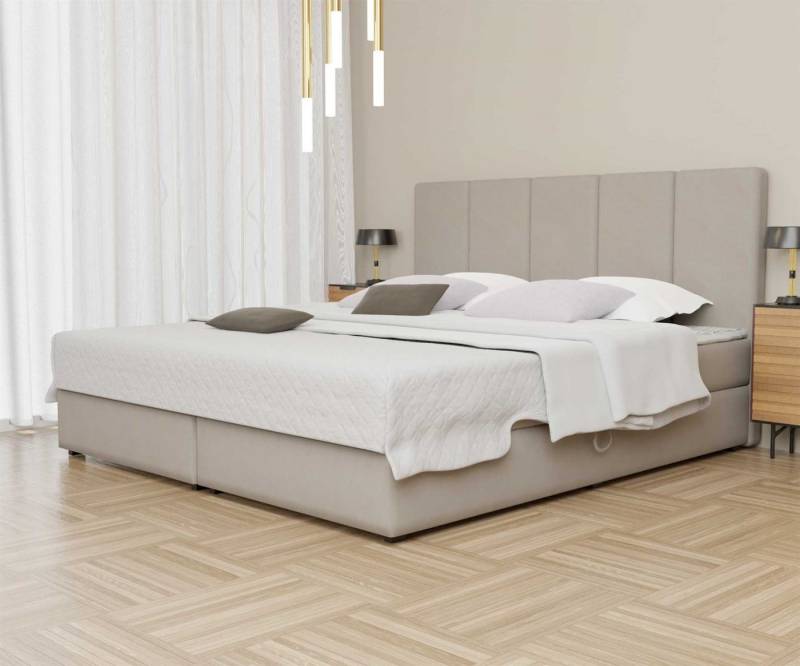 Fun Möbel Boxspringbett Boxspringbett Schlafzimmerbett ELICIO in Stoff Cloud (inkl. Bettkästen, inkl. Kaltschaumtopper), auch in Überlänge erhältlich von Fun Möbel