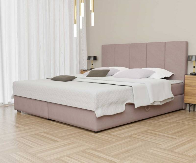 Fun Möbel Boxbett Schlafzimmerbett ELICIO in Stoff Cloud (inkl. Bettkästen, inkl. Kaltschaumtopper), auch in Überlänge erhältlich von Fun Möbel