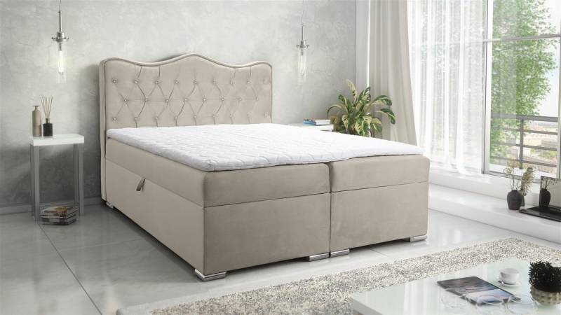Fun Möbel Boxbett Schlafzimmerbett SULTAN New in Stoff Velvet X (inkl. Kaltschaumtopper und Bettkästen) von Fun Möbel