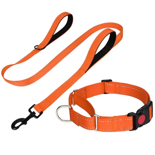 FunTags Reflektierendes Martingale-Halsband für Hunde, Schnellverschluss-Schnalle, 1,5 m Doppelgriff, gepolstert, Hundehalsband und Leine, Set, verstellbar für Welpen, 1,5 m (Orange, XS) von FunTags