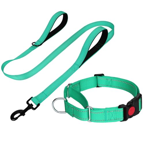 FunTags Reflektierendes Martingale-Halsband für Hunde, Schnellverschluss-Schnalle, 1,5 m Doppelgriff, gepolstert, Hundehalsband und Leine, Set, verstellbar für Welpen, 1,5 m (Türkis, XS) von FunTags