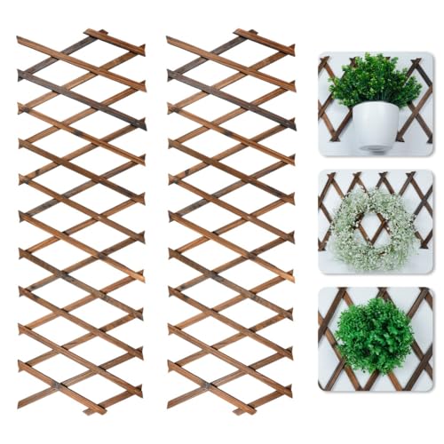 2 erweiterbare Holzgitter: Wandstütze für Pflanzen und Pflanzen von Funabridge