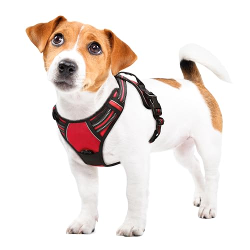 Funfox Hundegeschirr Kleine Hunde Anti Zug Welpengeschirr Einstellbar Hundegeschirr Antiziehgeschirr für Mittelgroße Hunde Brustgeschirr Hund Atmungsaktiv No Pull Dog Harness Rot S von Funfox