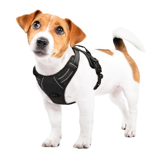 Funfox Hundegeschirr Kleine Hunde Anti Zug Welpengeschirr Einstellbar Hundegeschirr Antiziehgeschirr für Mittelgroße Hunde Brustgeschirr Hund Atmungsaktiv No Pull Dog Harness Schwarz S von Funfox