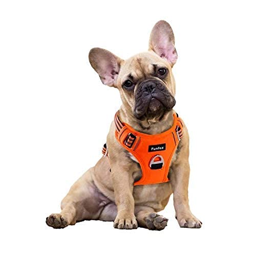 Funfox Hundegeschirr Kleine Hunde No Pull Welpengeschirr Einstellbar Hundegeschirr Anti Zug Sicherheitsgeschirr Kleine Mittlere Hunde Brustgeschirr Hund Atmungsaktiv Dog Harness Orange S von Funfox