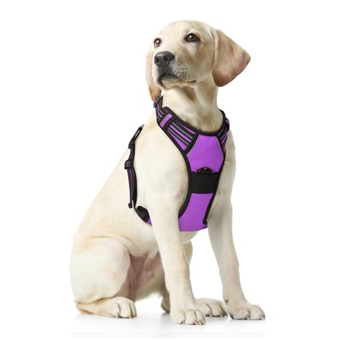 Funfox Hundegeschirr für Große Anti Zug Brustgeschirr Einstellbar Grosse Hunde Geschirrset, Antiziehgeschirr für Mittelgroße Hunde Atmungsaktiv No Pull Dog Harness Lila XL von Funfox