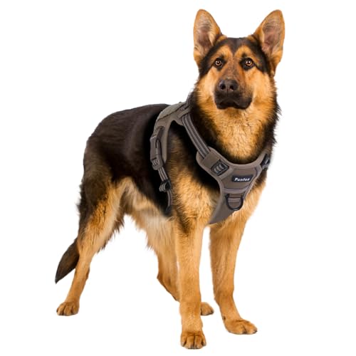 Funfox Hundegeschirr für Große Hunde, No Pull, Taktisch, Braun, L von Funfox