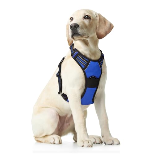 Funfox Hundegeschirr für Mittelgroße Anti Zug Brustgeschirr Einstellbar Geschirrset Mittlere Hunde No Pull Geschirr Hund Antiziehgeschirr für Grosse Hunde Atmungsaktiv Dog Harness Rot M von Funfox