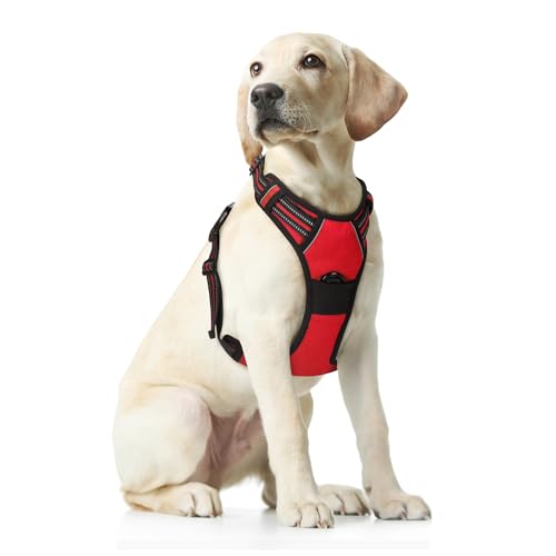 Funfox Hundegeschirr für Mittelgroße Anti Zug Brustgeschirr Einstellbar Geschirrset Mittlere Hunde No Pull Geschirr Hund Antiziehgeschirr für Grosse Hunde Atmungsaktiv Dog Harness Rot M von Funfox