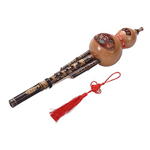 Funien Chinesische Handgemachter schwarzer Bambus Hulusi Gourd Cucurbit Flöte Volksmusikinstrument Tonart C mit Fall für Anfänger Music Lovers von Funien