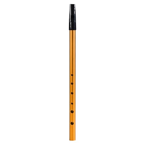Funien Irish Whistle C Key 6-Loch Tonart C 6 Löcher Flöte Penny Whistle Tin Whistle Blasmusikinstrumente für Studenten, Anfänger, Fortgeschrittene, Experten von Funien