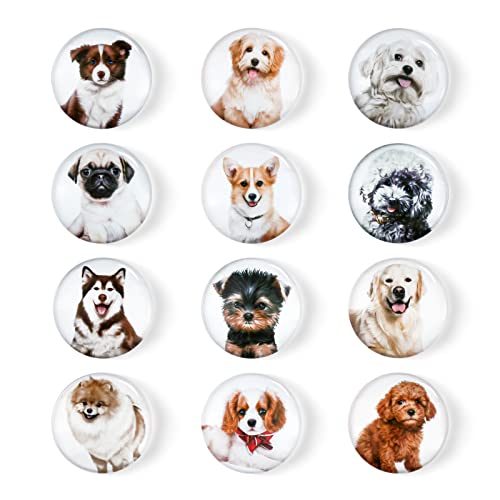 FuninCrea Magnet Kühlschrank Aufkleber, 12 Stücke Glas Bunter Niedlicher Hund Kühlschrank Magnet Weiße Brett Magnet Aufkleber Anwendbar auf Kühlschrank Dekoration (D) von FuninCrea