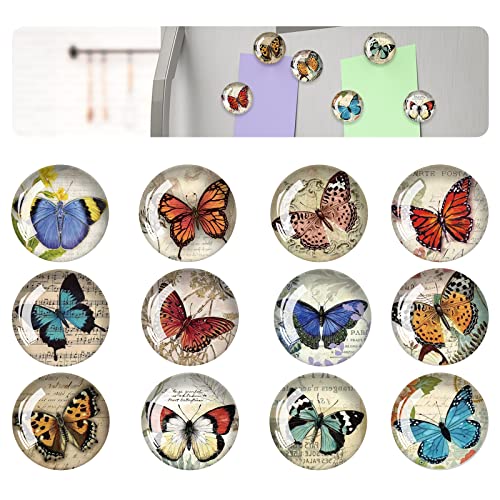 FuninCrea Magnet Kühlschrank Aufkleber, 12 Stücke Glas Bunter Schmetterling Muster Kühlschrank Magnet Aufkleber Anwendbar auf Kühlschrank Dekoration (B) von FuninCrea