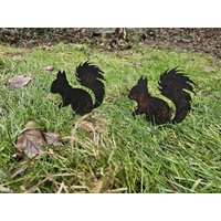 Edelrost Eichhörnchen Roststecker Tierfigur Rostkunst Tiermotiv Petsign Gartendeko Beetstecker Gartenstecker von Funkenwerk83