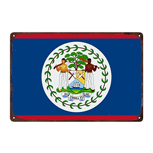 Belize Flagge Schild Metallschild für Männerhöhle Garage, Belize Aluminium Blechschild Nationalflagge Wandkunst Vintage Retro Home Decor ,20 x 30 cm von Funlucy