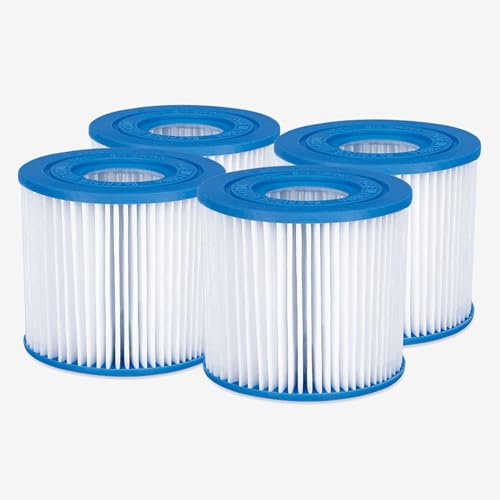 Funsicle Typ D Filterkartusche 4er Pack, Ersatz Pool Filterkartuschen Erwachsene von Funsicle