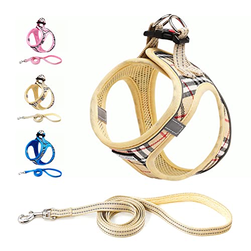 Hundegeschirr Kleine Hunde mit Leine, Weich Mesh Anti Zug Geschirr Reflektierend Atmungsaktiv Brustgeschirr, Welpengeschirr für Kleine, Mittlere Hunde-Beige||M von Funthy