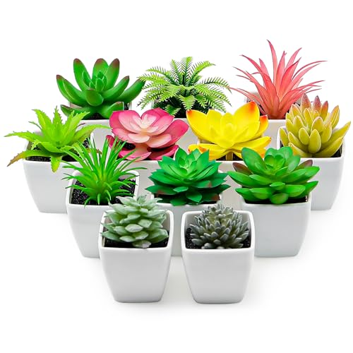 Funzhan 12 Stück Künstliche Sukkulenten Pflanzen Innenraum Dekoration in Töpfen Gefälschte Sukkulentenpflanze Faux Small Lebensecht Premium Anzeige für Garten Veranda Tisch Rustikale Hochzeit Funzhan 12 Stück Künstliche Sukkulenten Pflanzen Innenraum Dekoration in Töpfen Gefälschte Sukkulentenpflanze Faux Small Lebensecht Premium Anzeige für Garten Veranda Tisch Rustikale Hochzeit von Funzhan