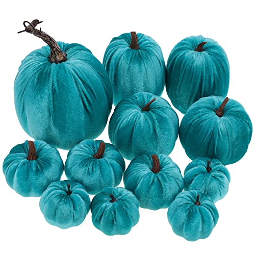 Funzhan 12Pcs Herbst Kürbisse Dekorationen Realistisch Künstlicher Samt Blau Kürbis Set Halloween Gefälschte Schaum Kürbis Für Erntedank Herbst Ernte Zuhause Tabelle Dekor von Funzhan