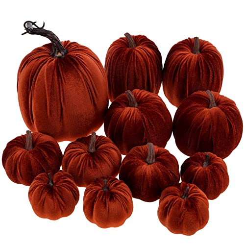 Funzhan 12Pcs Sortierte künstliche Braun Kürbis Set Dekor Samt Schaum Kürbis Erntedank Halloween Herbst Ernte Zuhause Küche Tabelle Party Kürbis Dekoration Funzhan 12Pcs Sortierte künstliche Braun Kürbis Set Dekor Samt Schaum Kürbis Erntedank Halloween Herbst Ernte Zuhause Küche Tabelle Party Kürbis Dekoration von Funzhan