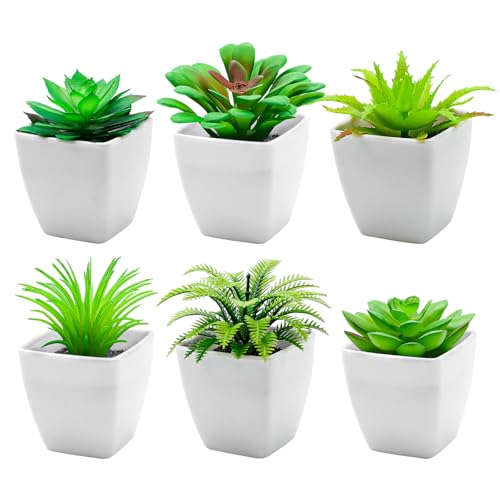 Funzhan 6 Stück Künstliche Sukkulenten Pflanzen Innenraum Dekoration in Töpfen Gefälschte Sukkulentenpflanze Faux Kleine Greenery Modern Ornament für Schreibtisch Home Schlafzimmer Fensterbank von Funzhan