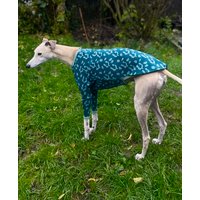 Langarm-Windhundshirt in Leuchtendem Petrol Mit Leopardenmuster Langarm-Windhundshirt in Leuchtendem Petrol Mit Leopardenmuster von FureverGreyt