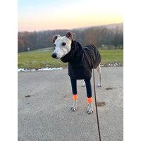 Windhund Regenmantel von FureverGreyt
