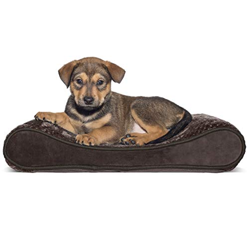 Furhaven Small Orthopedic Dog Bed Minky Plush & Velvet Luxe Lounger w/Removable Washable Cover - Espresso, Small von Furhaven