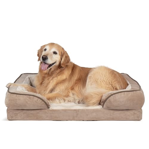 Furhaven Haustier-Hundebett, Große Hundebetten für Hunde, Mittlere Kleine Hundebett Orthopädische Memory Foam Hundebetten, Abnehmbarer waschbarer Bezug, Kisten, Sofa und Couch von Furhaven