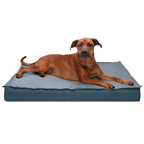 Furhaven XL-Hundebett aus Memory-Schaumstoff, wasserabweisend, für drinnen und draußen, Quilt-Top, wandelbare Matratze mit abnehmbarem, waschbarem Bezug, Calm Blue, Jumbo (Größe XL) von Furhaven